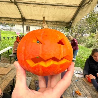Courges, rires et déguisements au Parc de Wesserling