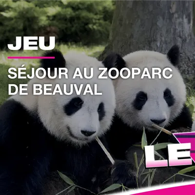 Gagnez votre séjour familial au Zoo de Beauval !
