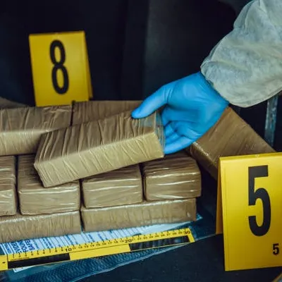 Démantèlement d’un trafic de drogue entre les Alpes-Maritimes et le...
