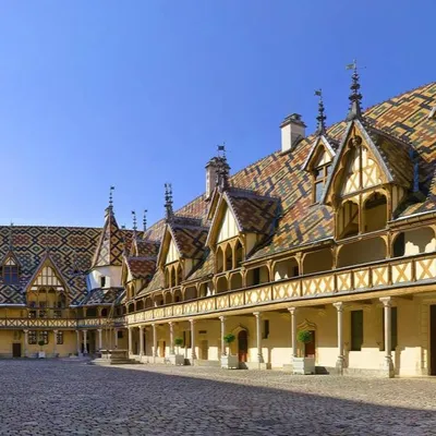 Cet été, et si vous deveniez saisonnier en Bourgogne🍇