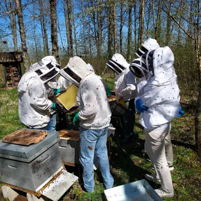 La fête de l'environnement de Chevigny, c’est ce samedi 