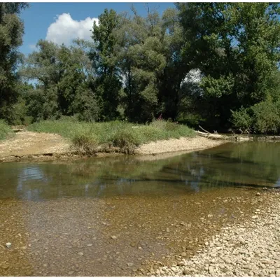 L’application “Qualité Rivière” se développe