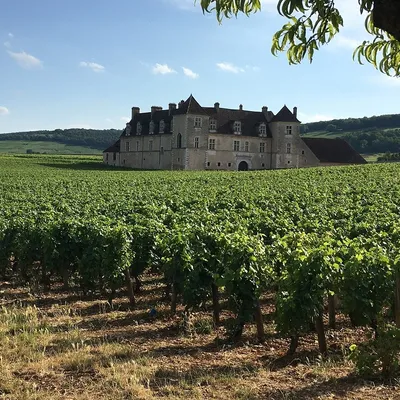 Les paysages de la Côte de Nuits ont été classés 