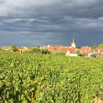 Beaune: Rencontre conviviale entre vignerons et habitants 