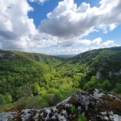 Fête de la Réserve Naturelle : sport et biodiversité à l'honneur...