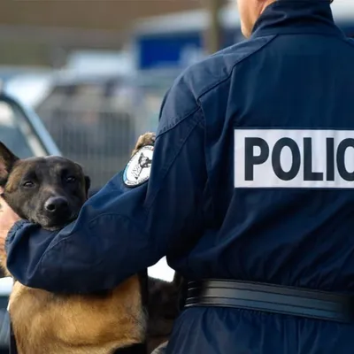 Une course-poursuite à 150 km/h dans les rues de Limoges