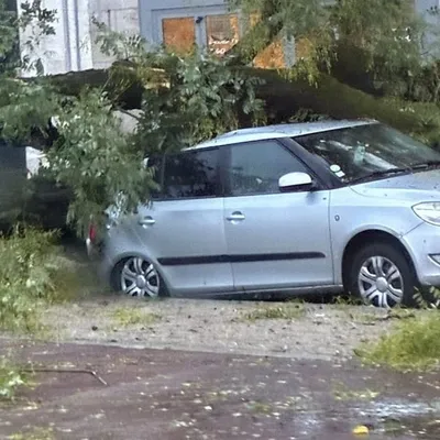 Tempête Benjamin : de nombreux dégâts en Haute-Vienne