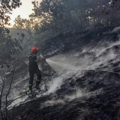 Creuse : 10 hectares de forêt partis en fumée dans un incendie