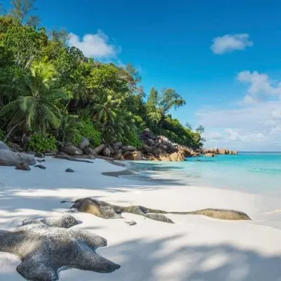 Les plus beaux hôtels des Seychelles