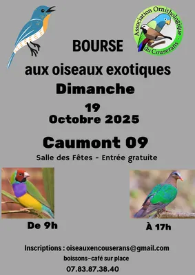 Bourse aux oiseaux exotiques 
