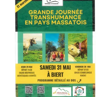 Grande journée transhumance en Pays massatois