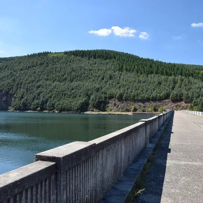 La rivière "le Dorlay" à nouveau polluée