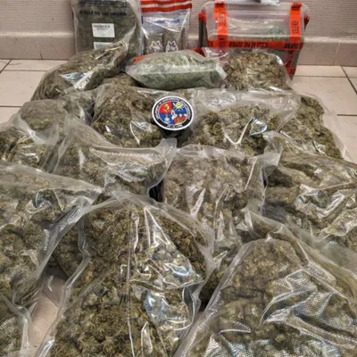 Boën-sur-Lignon : 4 kilos de cannabis découverts 