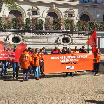 Saint-Etienne : L214 lance "le sauvetage du siècle"