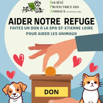 La S.P.A. de Saint-Étienne, en difficulté, lance un appel aux dons