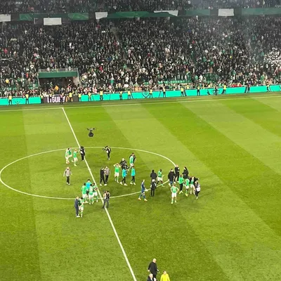 ASSE 2-1 OL : un derby bénit des Dieux