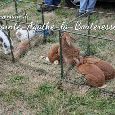 Foire de la Bouteresse à Ste-Agathe-la-Bouteresse
