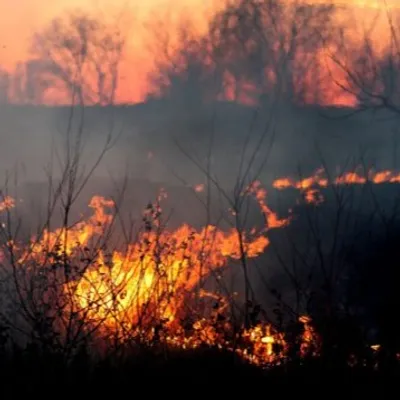 14 pompiers ligériens en renfort pour lutter contre l'incendie dans...