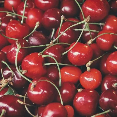 Loire : les agriculteurs victimes...de vols de fruits