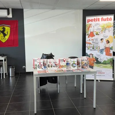 Petit futé : 257 pages pour (re)découvrir Saint-Étienne