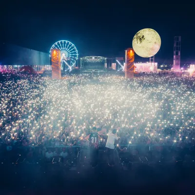 Rose Festival : les dernières annonces pour l’édition 2025