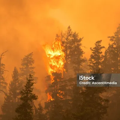 Un nouvel incendie parcourt 750 hectares à Narbonne 