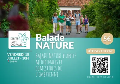 Balade nature plantes médicinales et comestibles de l'Embryenne -...