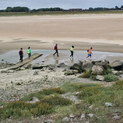 Gravelines / Grand-Fort-Philippe : une première battue pour...