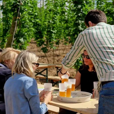 Saint-Sylvestre-Cappel : visites, concerts et animations à la...