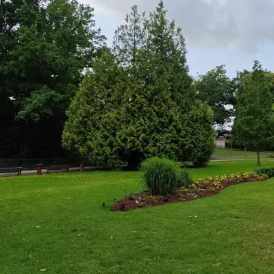 Hazebrouck : un retour aux fondamentaux pour la Fête de la musique 
