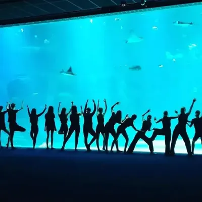 HALMAHERA – Un spectacle de danse au coeur de l’Océan à Nausicaá