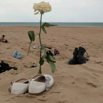 Calais : 517 paires de chaussures pour rendre hommage aux victimes...