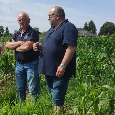 En Mayenne, les agriculteurs sont excédés par les dégâts causés par...