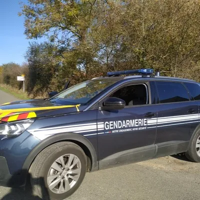 Près Ambrières-les-Vallées. Disparition inquiétante, la gendarmerie...