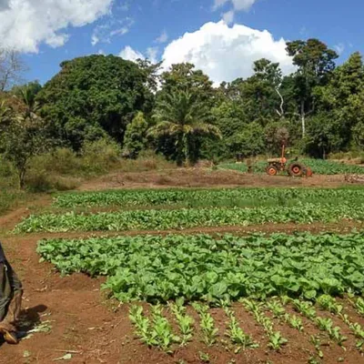 MAYOTTE : GBH DONNE PLUS D’UN MILLION D’EUROS POUR RELANCER...