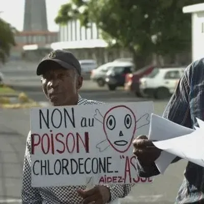 Chlordécone : L’État contraint d’indemniser