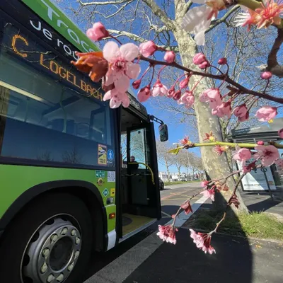 Colmar : fin des tickets de bus jetables pour Trace 