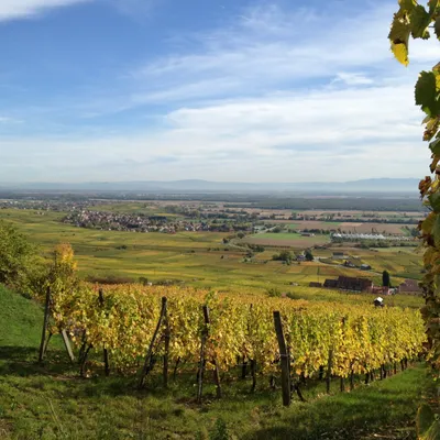 Les plus beaux circuits de rando en Alsace
