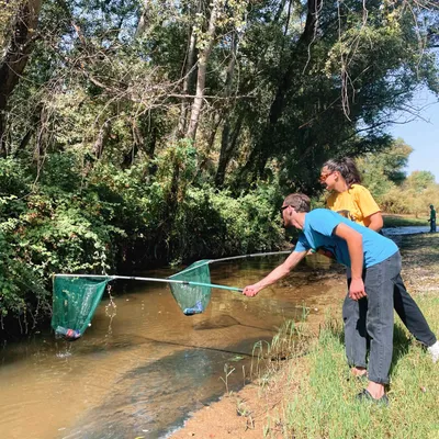 Cinq jours pour nettoyer la nature en Alsace