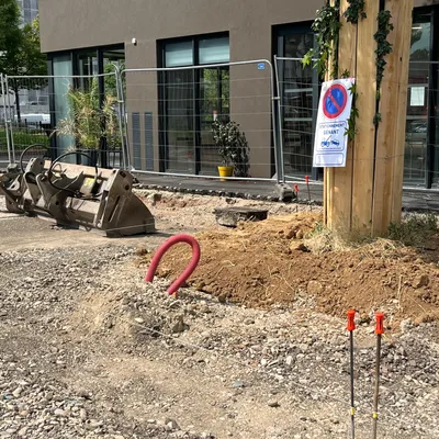 Strasbourg : de nouvelles mesures pour protéger les arbres