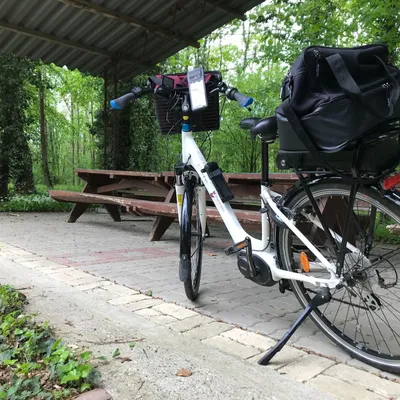 Les 5 plus beaux circuits vélo à faire en famille en Alsace