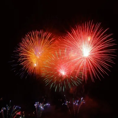 Fête de la musique, illuminations de la Cathédrale, feux d’artifice...