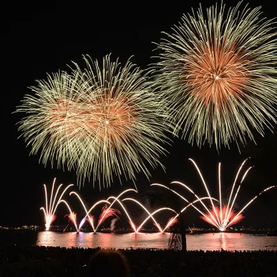 Feux d’artifice de la Fête Nationale : où admirer les spectacles en...