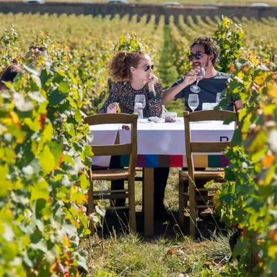 Le week-end de Pentecôte chez un vigneron