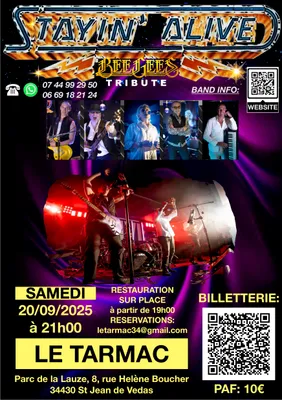 Concert exceptionnel, tribute aux Bee Gees