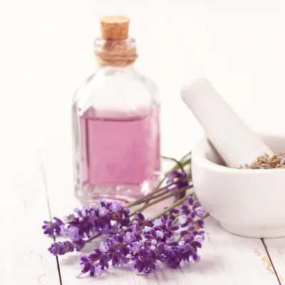 Montpellier redevient capitale du parfum pendant trois jours