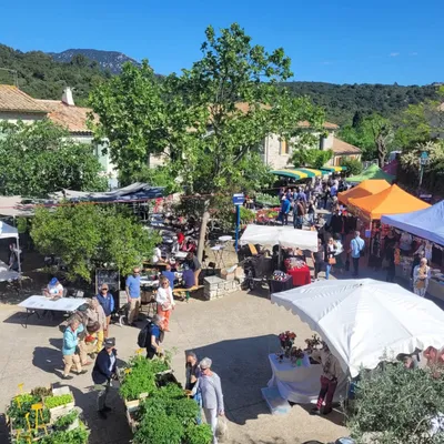 Hérault : cette commune va accueillir une grande fête des fleurs !