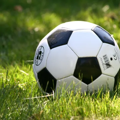 Sport : plus d'un million de licences en Occitanie