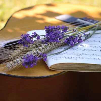 Avignon, Nîmes, Alès… Que faire pour la Fête de la Musique dans le...