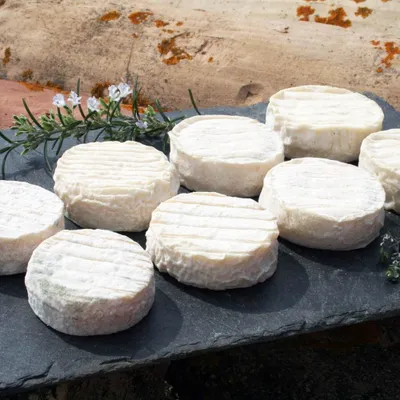 Pélardon : la saison est officiellement ouverte !